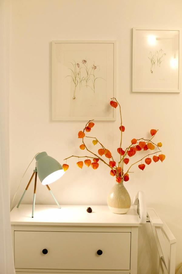 Jasmine Serenity Apartment - Central, Behind Black Church Μπρασόβ Εξωτερικό φωτογραφία